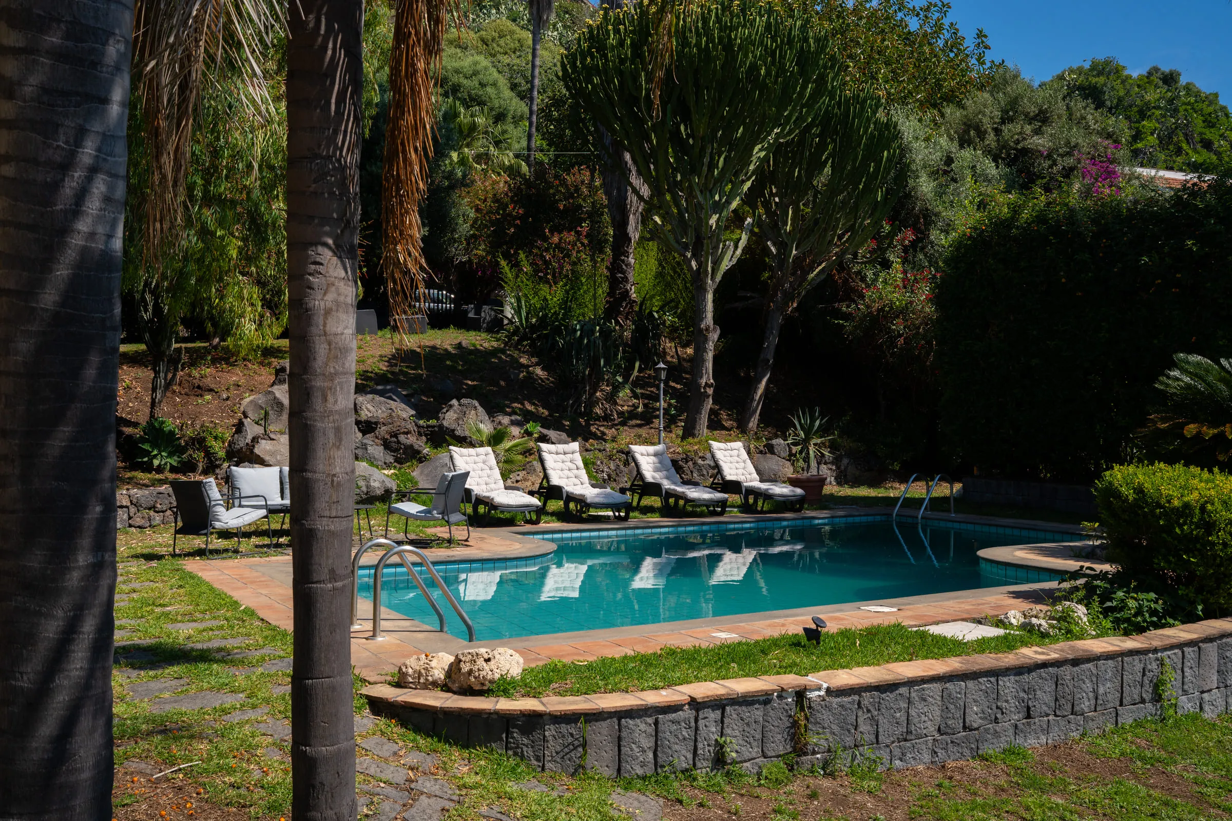 Sun loungers lined up along the pool in the shade of the palms.