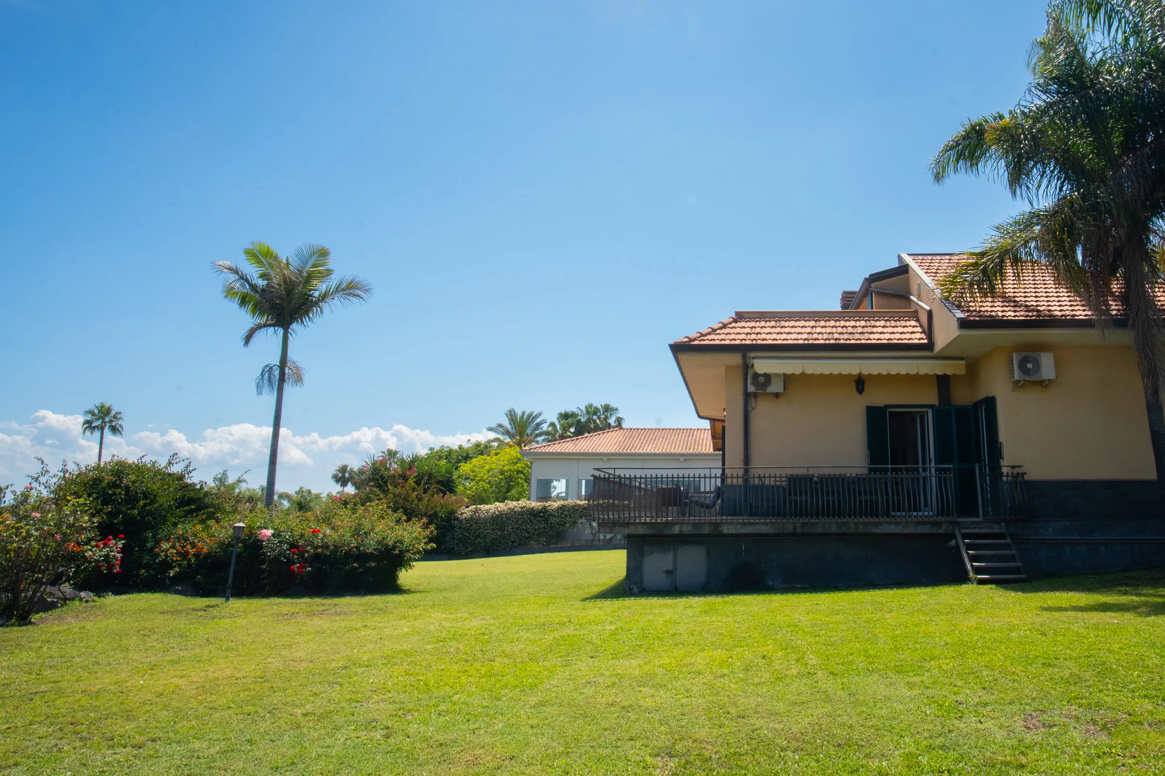 The garden lawn and the villa, with palms and flowering hedges.