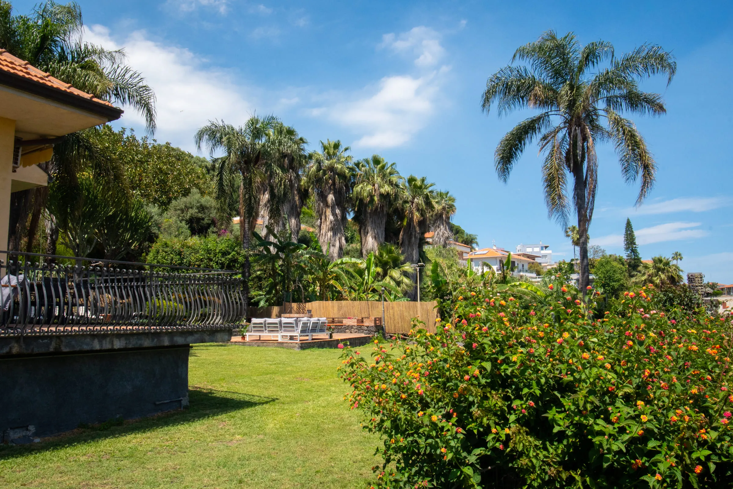 The garden lawn with flowering hedges and palm trees.